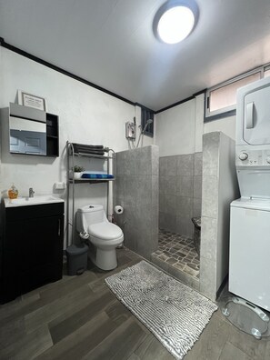 Shower, hair dryer, bidet, towels