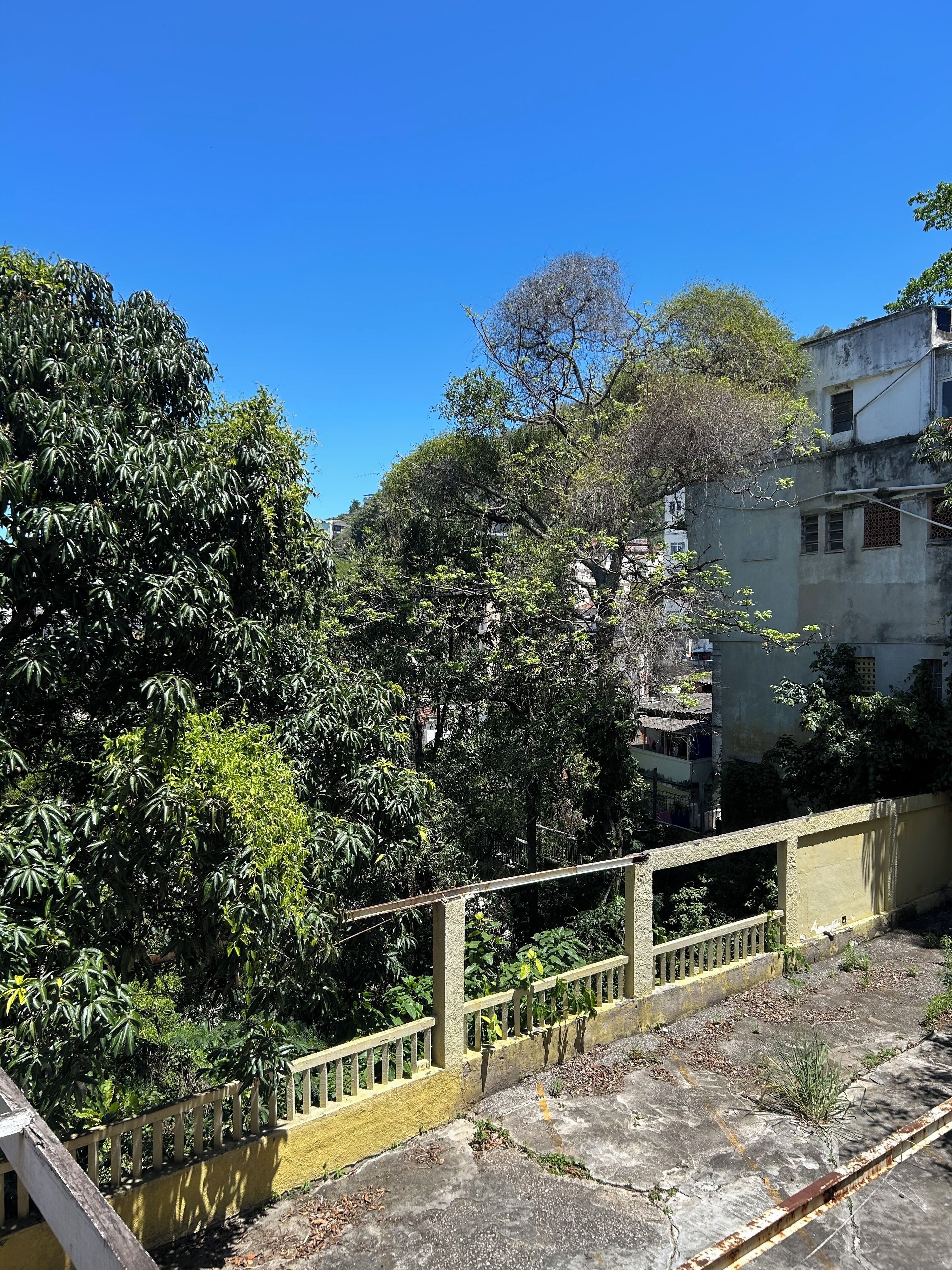 Un patio con barandilla amarilla, rodeado de follaje denso y edificios.
