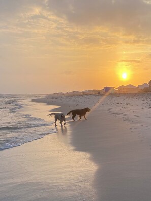 Plage à proximité, chaises longues
