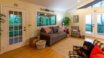 智能電視、DVD 播放機、書籍、影像庫