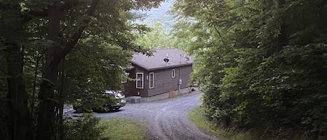 A gravel driveway leading to a cabin surrounded by dense forest.