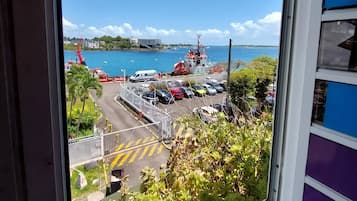 Vista del balcón