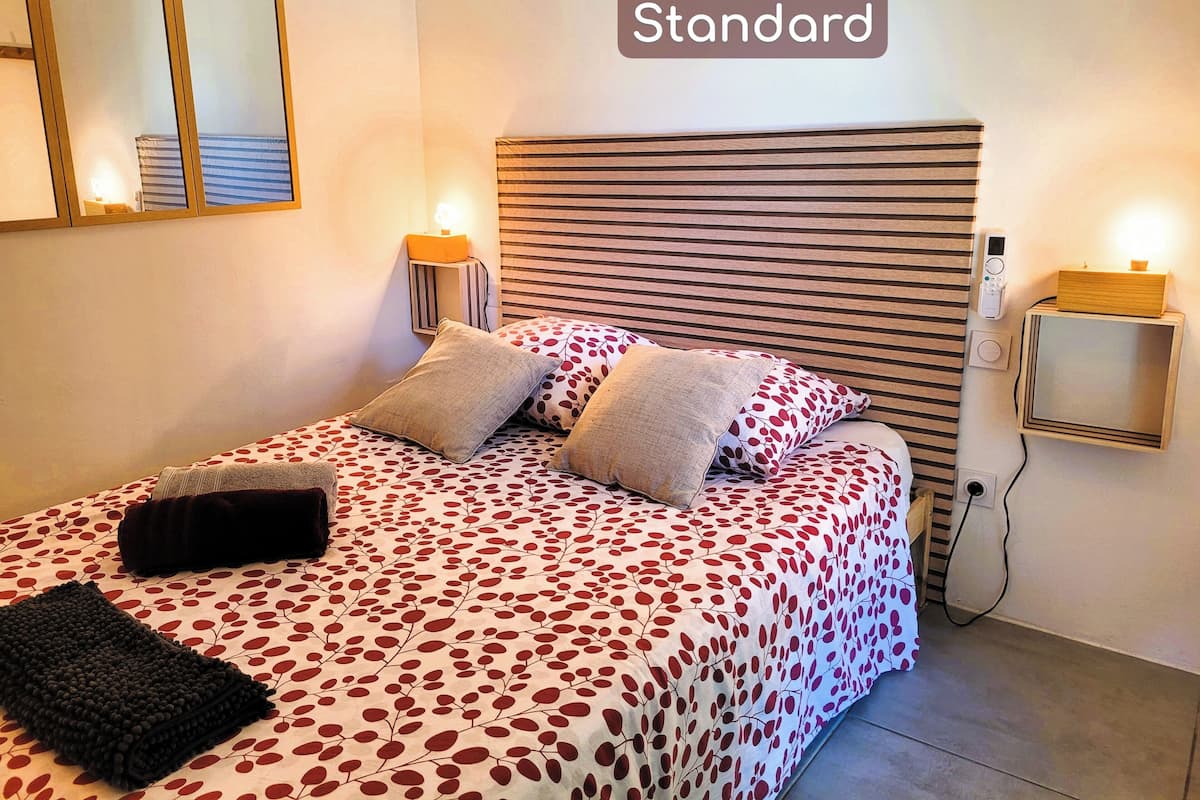Habitación doble estándar | Wifi gratis