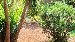 A garden with various plants and trees, a dirt path, and a structure in the background. - Portion of a villa within walking distance of Mondello. (Palermo)