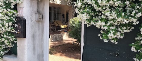 Àrea exterior de l'allotjament