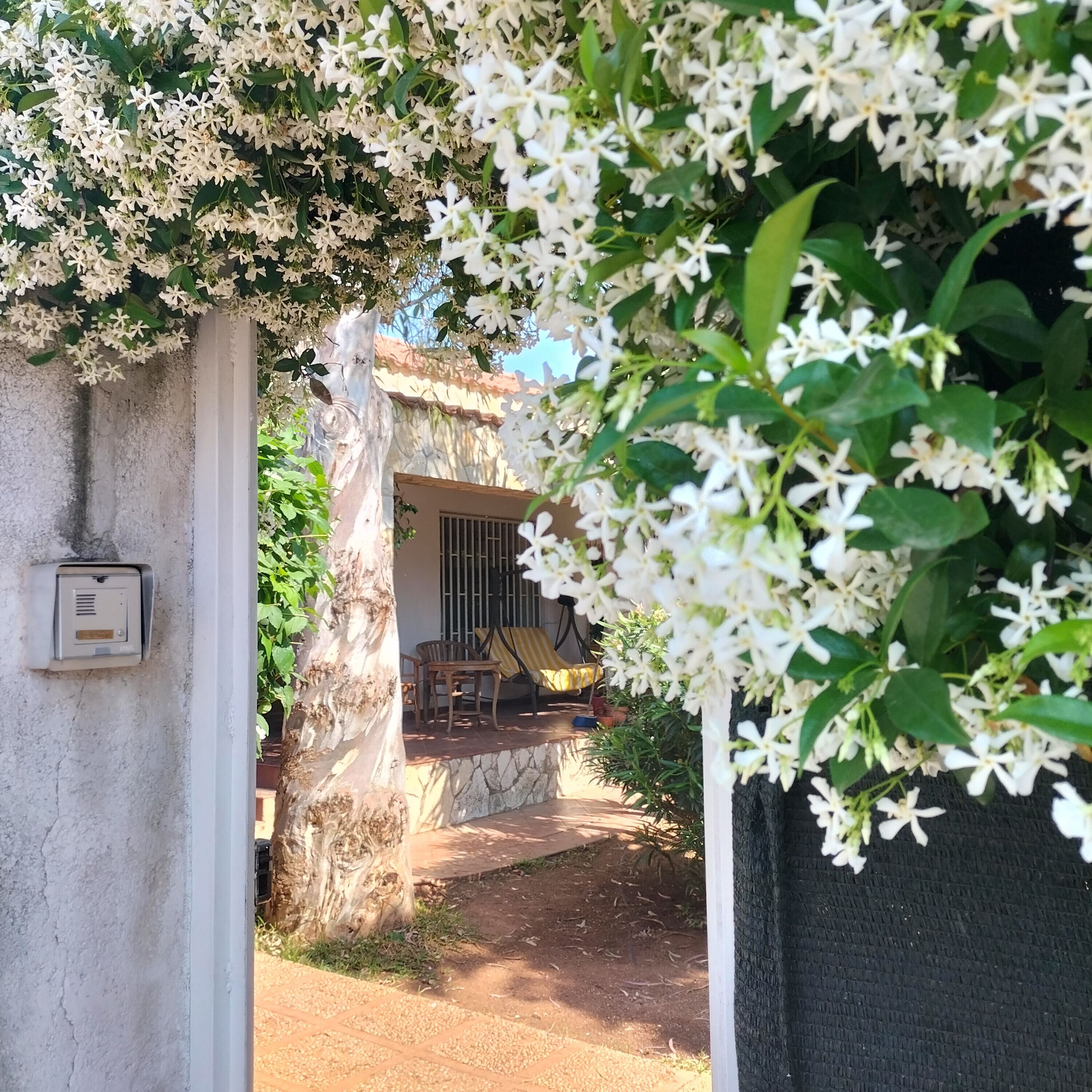 المنطقة المحيطة بالمنشأة