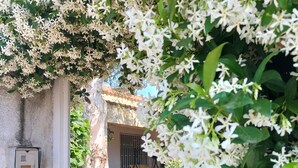Un espace extérieur aménagé avec une zone salon couverte, comprenant une table et des chaises, le tout entouré d’une végétation luxuriante et de fleurs blanches.