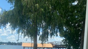 Un muelle de madera que se adentra en un lago, con un área de estar cubierta y un árbol en primer plano.