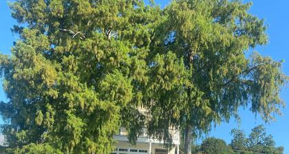 A fishing and swimming paradise . PARTY BARGES AVAILABLE ON REQUEST