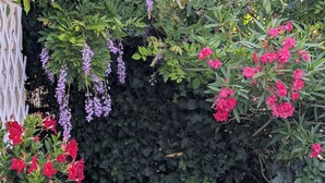 A garden with various flowering plants, a stone wall, and a tiled patio area. - Le Petit Paradis. (Brive-la-Gaillarde)