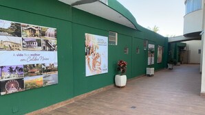Un pasillo con paredes verdes y suelo de baldosas, adornado con carteles y una planta en maceta.
