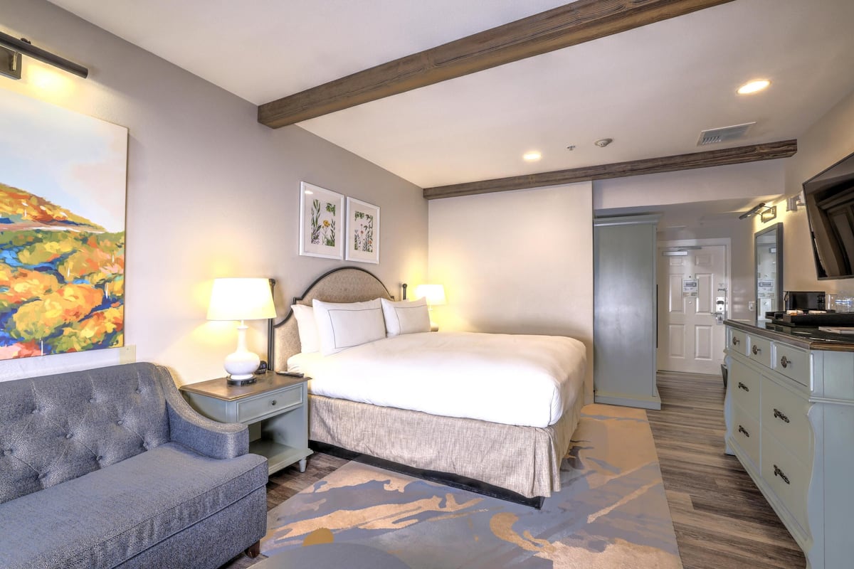 A bedroom with a bed, bedside tables, a sofa, a painting, and a television.