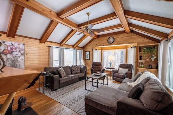 Smart TV, fireplace, books