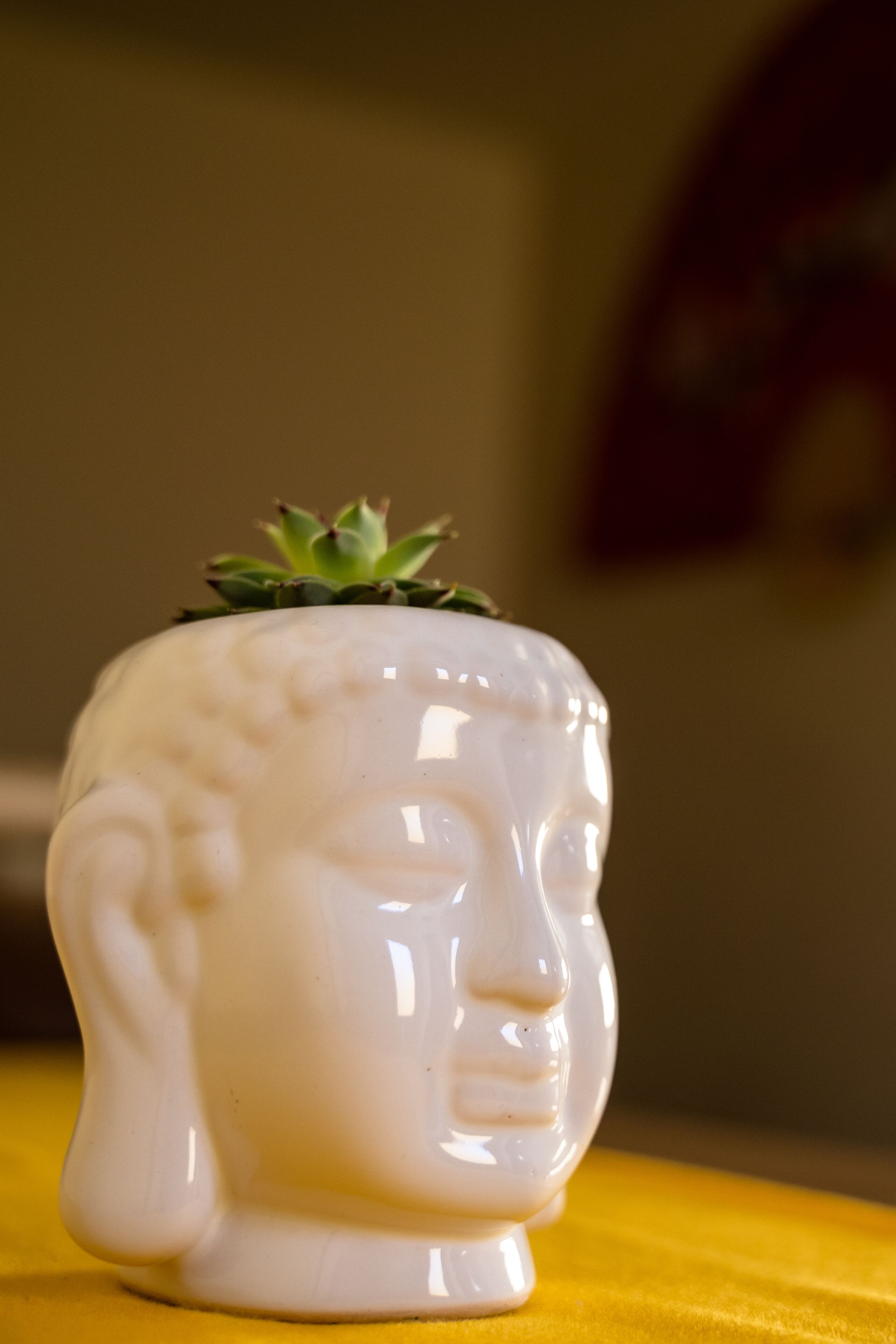 Una escultura de cabeza de Buda de cerámica blanca con una planta suculenta encima, sobre una superficie amarilla.