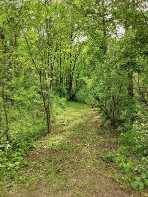 Terrain de l’hébergement