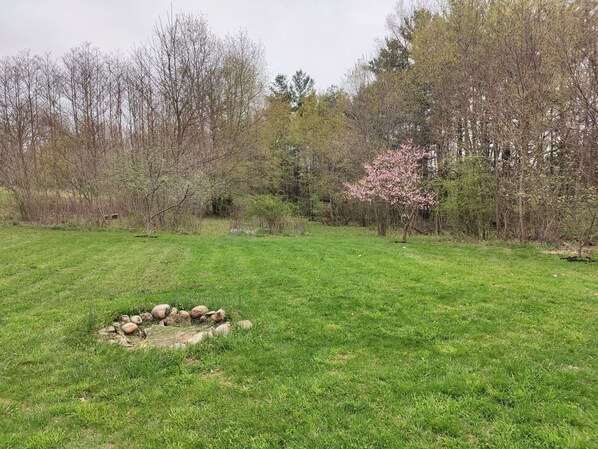 A grassy field with a stone arrangement and trees in the background.