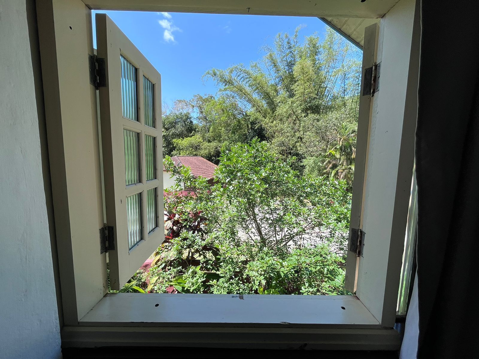 Vista desde la habitación