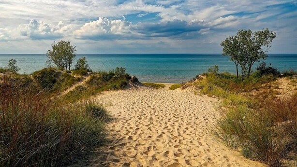 Un sentier de sable qui longe la plage et mène à la mer, avec une végétation clairsemée et un ciel dégagé.