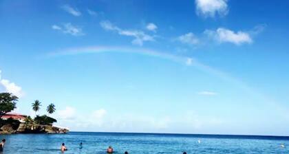 Store Bay Suite at Goodheart's Comfort Inn