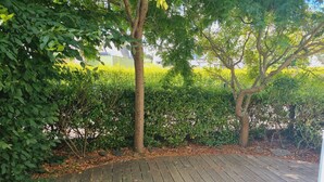 Eine Holzterrasse mit einem Baum und dichtem Buschwerk im Hintergrund.