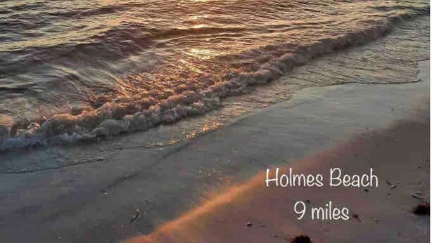 Holmes Beach with a pier extending into the water.