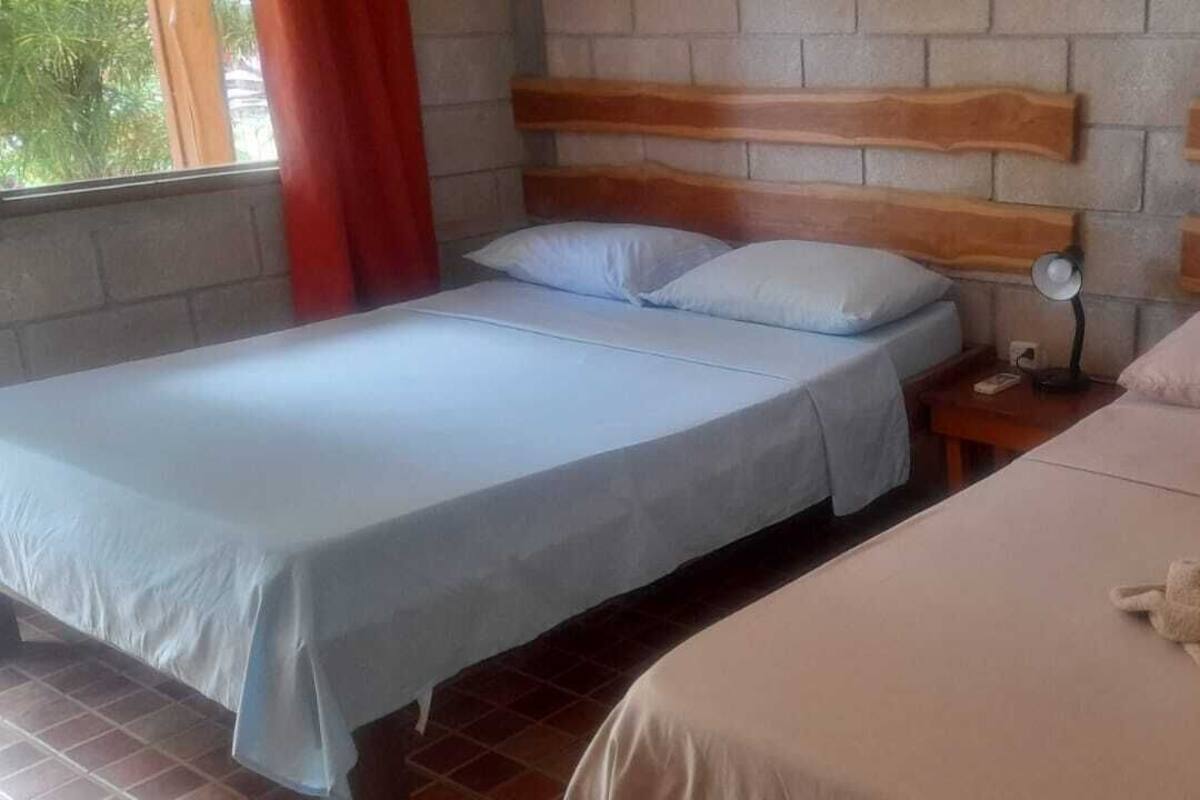 Basic Quadruple Room | Cadar katil
