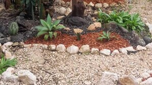Garden - Nakanku Lodge (Cuajiniquil)