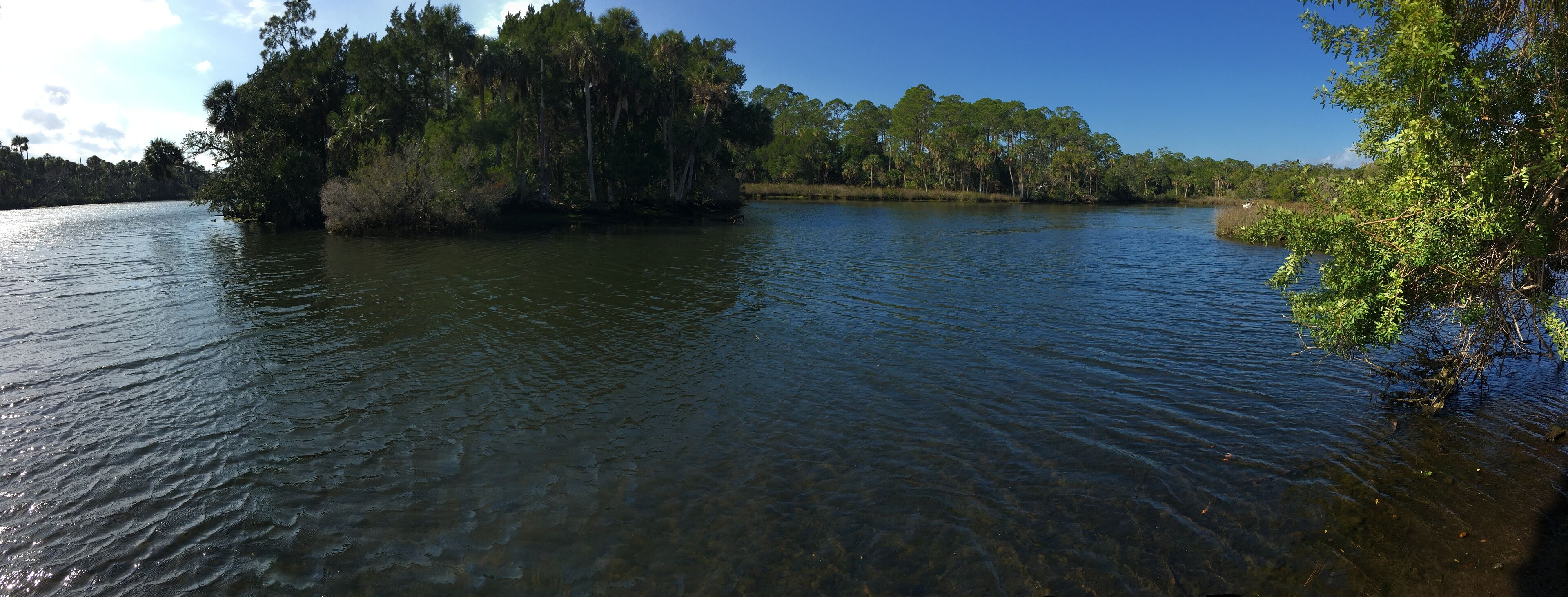 Un lac paisible, entouré d’une forêt dense et bordé d’un ciel dégagé.