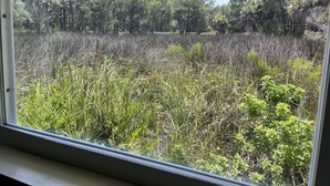 A window view of a natural landscape with dense vegetation and trees. - Neptune's Grotto Waterfront Retreat (Spring Hill)