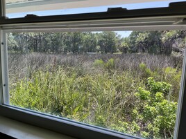 Vista desde la habitación