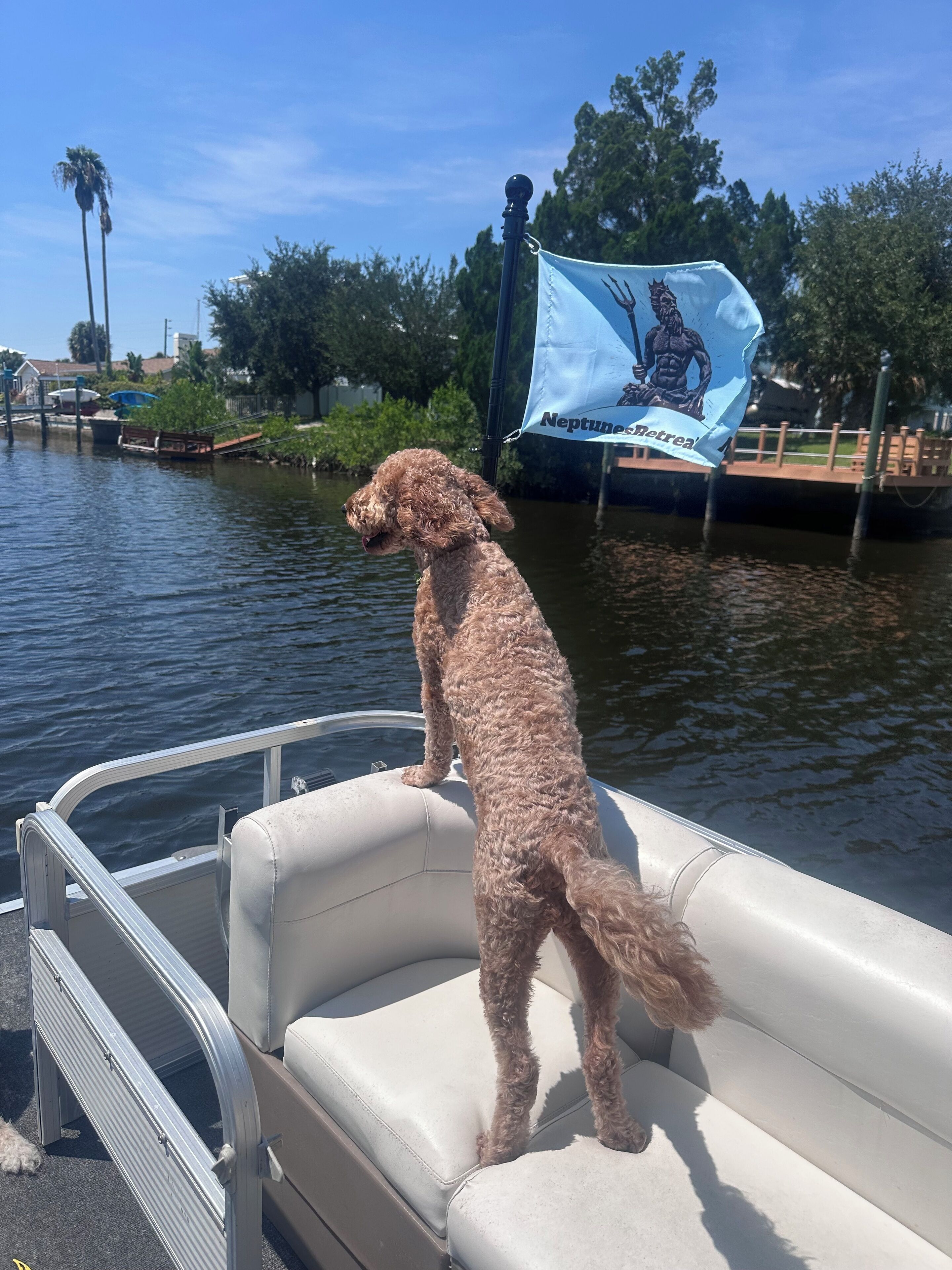 Un barco con un perro de pie en el borde.
