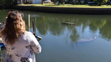 A person standing by a calm body of water with a boat docked nearby.