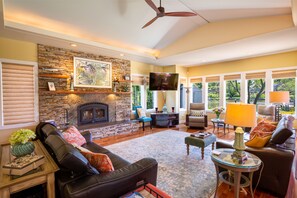 Televisión, chimenea y libros 