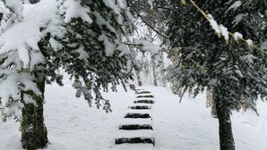 A snow-covered stone pathway in a forest. - SkyBarn on Rocky Knob - Views, Relaxation, Adventure, Game Room & Hot Tub (Zionville)