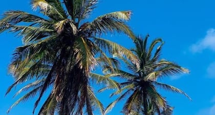 Residencial Del Mar