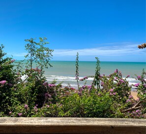 A beach view with clear skies, ocean waves, and blooming pink flowers.