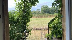 A wooden deck leading to a garden with a metal gate, surrounded by greenery and a view of a field. - Le Champ Bonnot - Rigny-sur-arroux (RIGNY-SUR-ARROUX)