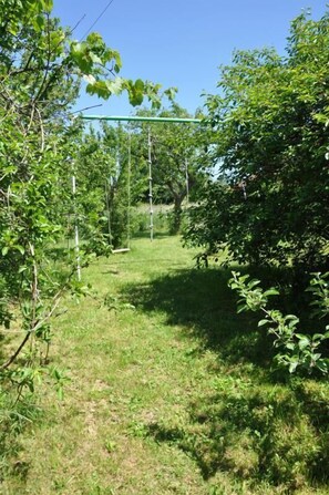 Terrain de l’hébergement 