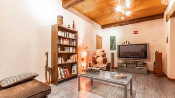TV, fireplace, DVD player