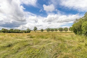 Miscellaneous - Mezzabulle - Chapaize (CHAPAIZE)