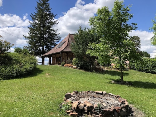 A Lombre des Acacias