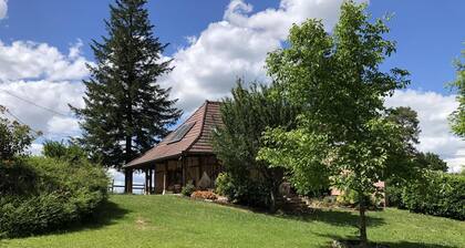 A Lombre des Acacias