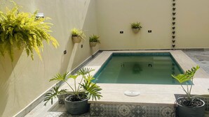 A rooftop pool area with a rectangular pool, surrounded by potted plants and a pergola structure.