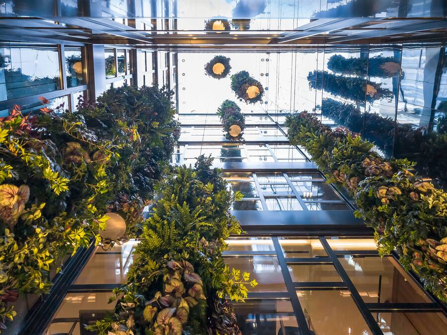 Áreas de la propiedad