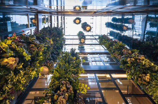 Property grounds - Barcelo Funchal Oldtown (Funchal)