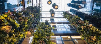 Barcelo Funchal Oldtown