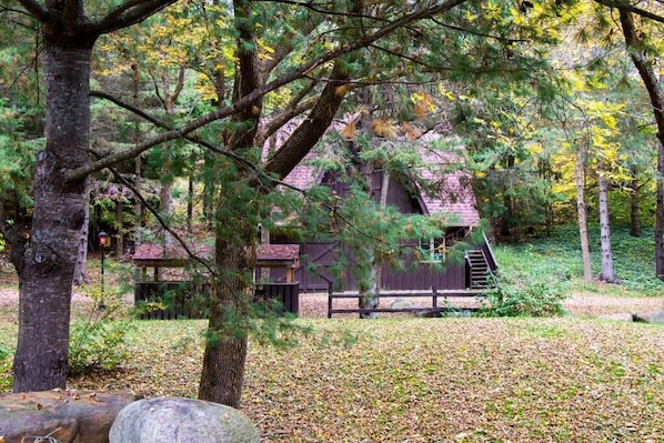 Àrea exterior de l'allotjament