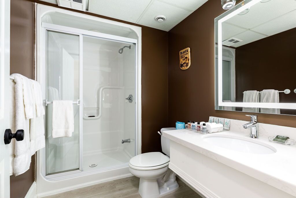 A bathroom with a glass-enclosed shower, a white toilet, and a vanity with a mirror.