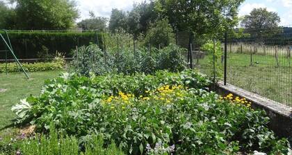 Le Marnon - PERREUIL