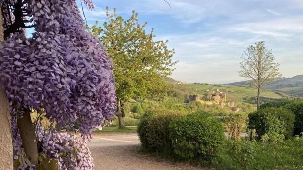 A gravel pathway leading to a historic building surrounded by lush greenery and purple wisteria.